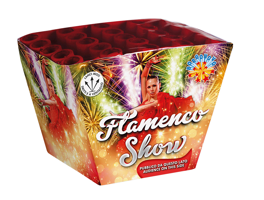 Flamenco Show 