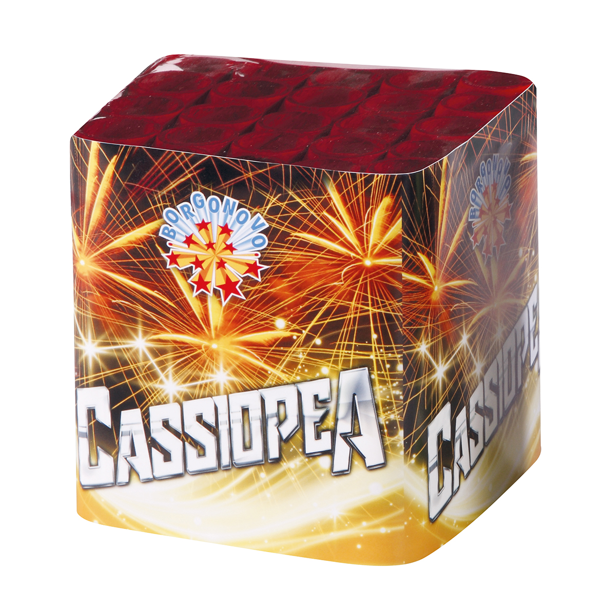 Cassiopea